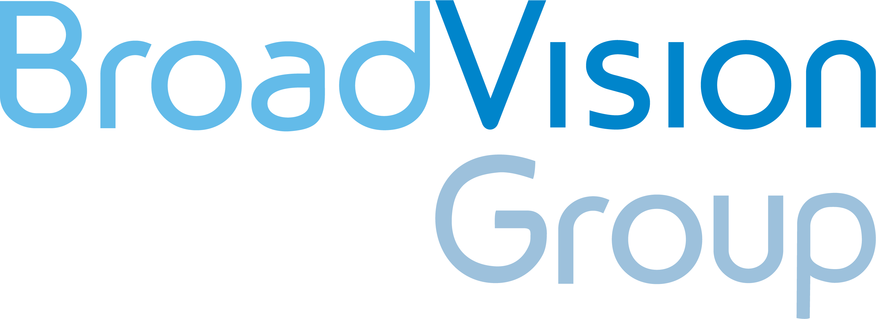 BroadVision Group