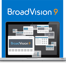 BroadVision 9-Business to Business Solution
